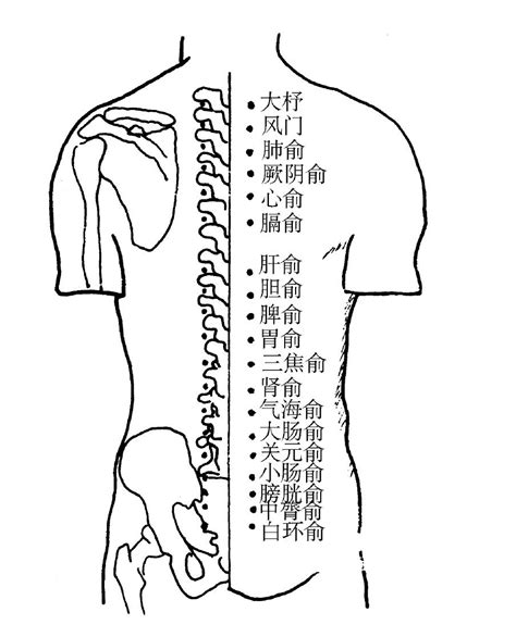 背穴|背俞穴